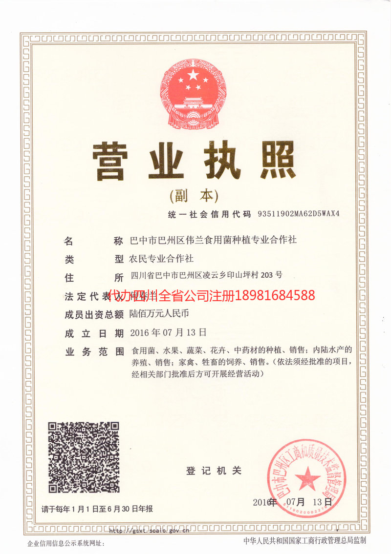 阿克苏市阿克苏市伟兰食用菌种植专业合作社